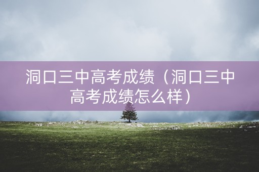 洞口三中高考成绩（洞口三中高考成绩怎么样）