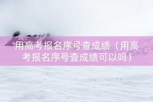 用高考报名序号查成绩（用高考报名序号查成绩可以吗）