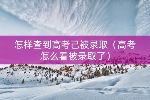 怎样查到高考己被录取（高考怎么看被录取了）