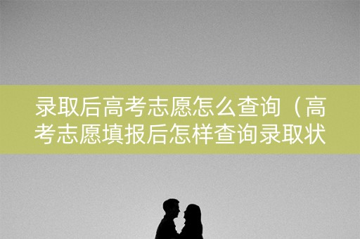 录取后高考志愿怎么查询（高考志愿填报后怎样查询录取状态）