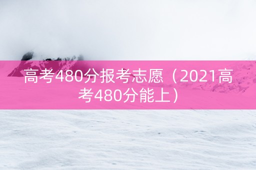 高考480分报考志愿（2021高考480分能上）