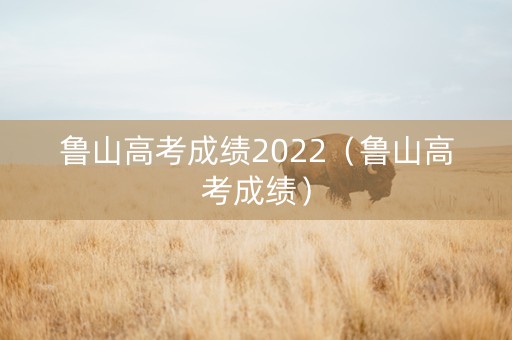 鲁山高考成绩2022（鲁山高考成绩）