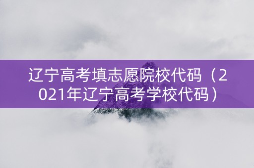 辽宁高考填志愿院校代码（2021年辽宁高考学校代码）