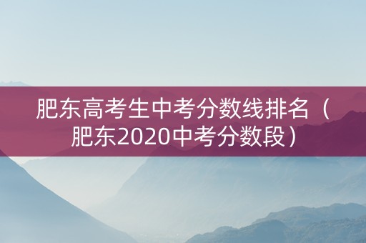肥东高考生中考分数线排名（肥东2020中考分数段）