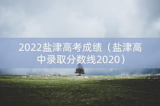 2022盐津高考成绩（盐津高中录取分数线2020）