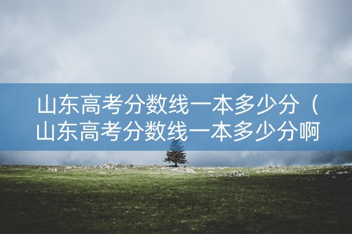 山东高考分数线一本多少分（山东高考分数线一本多少分啊）