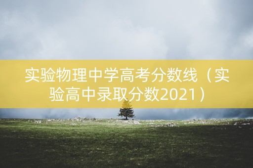 实验物理中学高考分数线（实验高中录取分数2021）