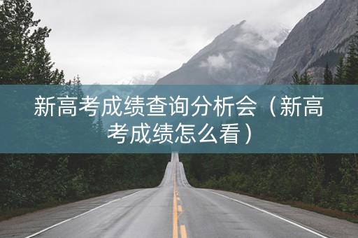 新高考成绩查询分析会（新高考成绩怎么看）
