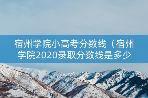 宿州学院小高考分数线（宿州学院2020录取分数线是多少）