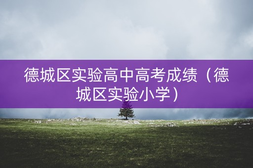 德城区实验高中高考成绩（德城区实验小学）