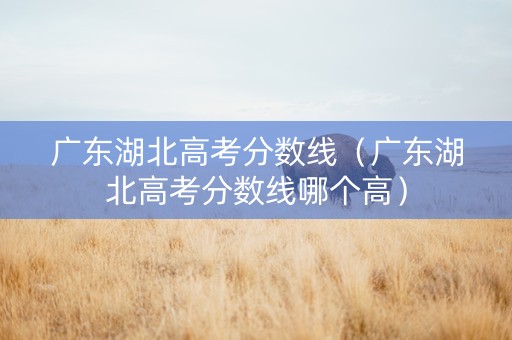 广东湖北高考分数线（广东湖北高考分数线哪个高）