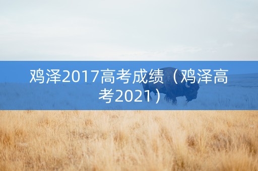 鸡泽2017高考成绩（鸡泽高考2021）