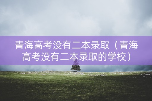 青海高考没有二本录取（青海高考没有二本录取的学校）