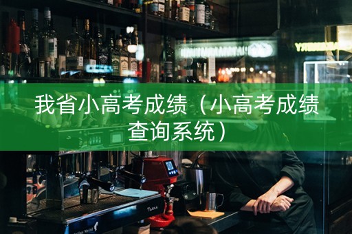 我省小高考成绩（小高考成绩查询系统）
