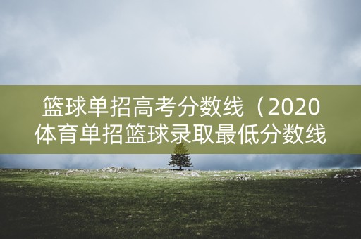 篮球单招高考分数线（2020体育单招篮球录取最低分数线）