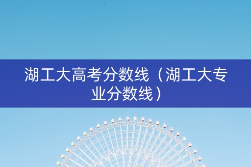湖工大高考分数线（湖工大专业分数线）