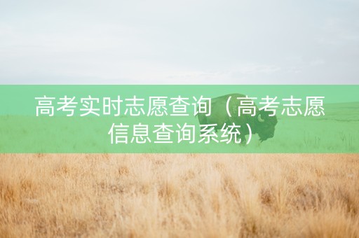 高考实时志愿查询（高考志愿信息查询系统）