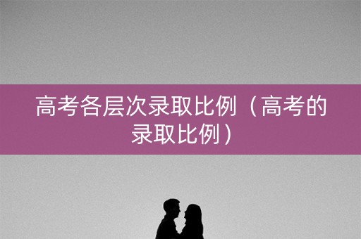 高考各层次录取比例（高考的录取比例）