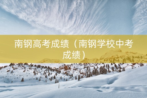 南钢高考成绩（南钢学校中考成绩）