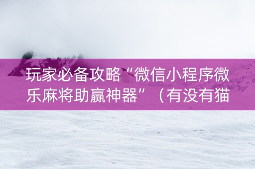 玩家必备攻略“微信小程序微乐麻将助赢神器”（有没有猫腻)