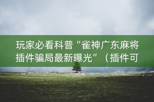 玩家必看科普“雀神广东麻将插件骗局最新曝光”（插件可信吗)
