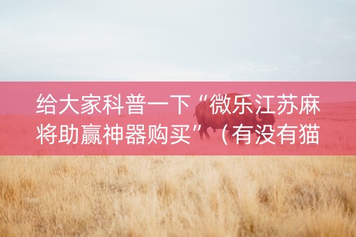 给大家科普一下“微乐江苏麻将助赢神器购买”（有没有猫腻)
