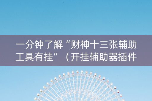 一分钟了解“财神十三张辅助工具有挂”（开挂辅助器插件)