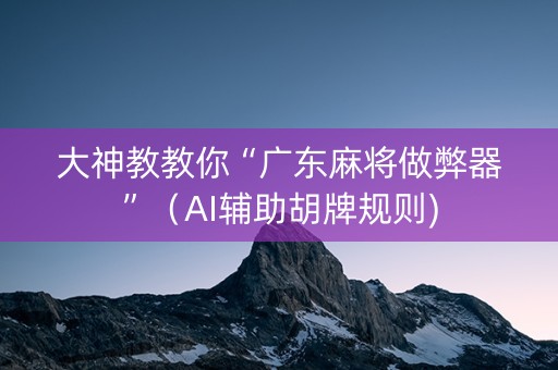 大神教教你“广东麻将做弊器”（AI辅助胡牌规则)
