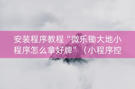 安装程序教程“微乐锄大地小程序怎么拿好牌”（小程序控牌器)