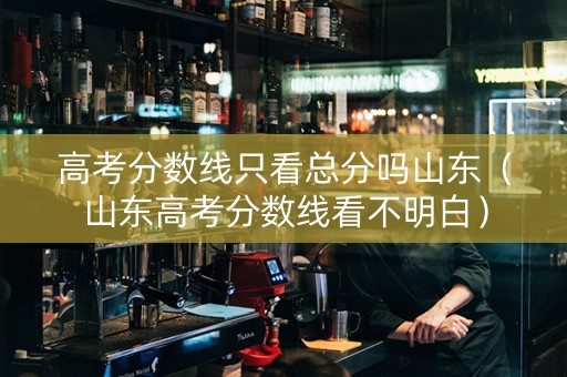 高考分数线只看总分吗山东（山东高考分数线看不明白）