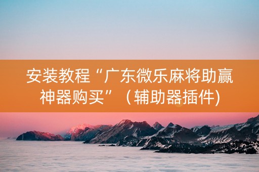 安装教程“广东微乐麻将助赢神器购买”（辅助器插件)