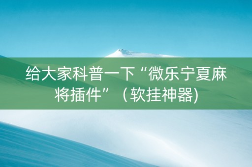 给大家科普一下“微乐宁夏麻将插件”（软挂神器)