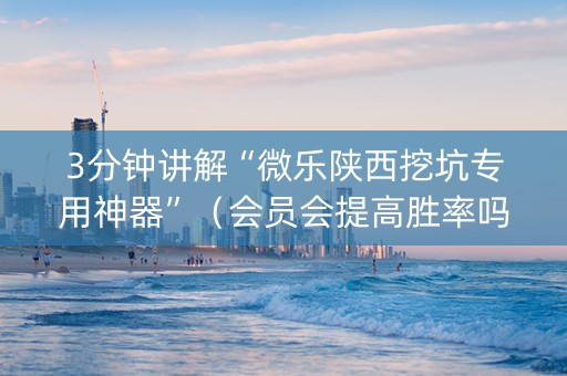 3分钟讲解“微乐陕西挖坑专用神器”（会员会提高胜率吗)