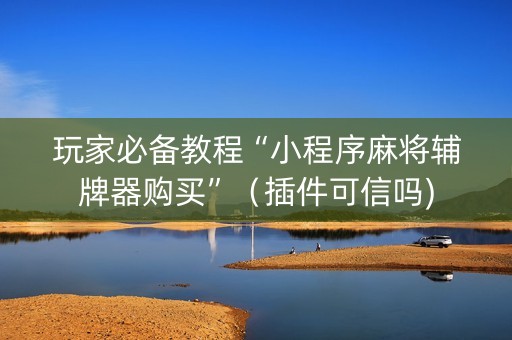 玩家必备教程“小程序麻将辅牌器购买”（插件可信吗)