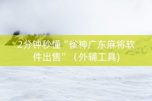 2分钟秒懂“雀神广东麻将软件出售”（外辅工具)