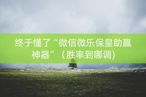 终于懂了“微信微乐保皇助赢神器”（胜率到哪调)