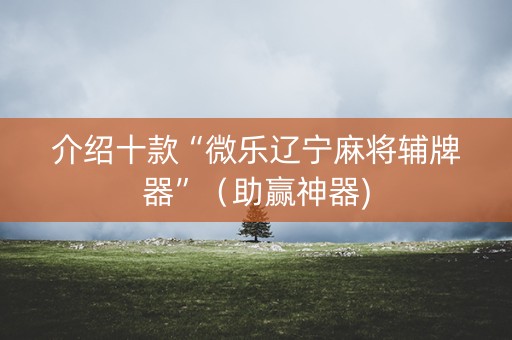 介绍十款“微乐辽宁麻将辅牌器”（助赢神器)