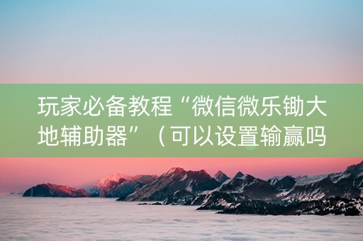 玩家必备教程“微信微乐锄大地辅助器”（可以设置输赢吗)