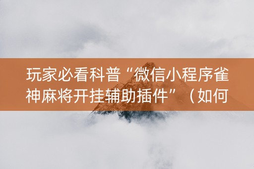 玩家必看科普“微信小程序雀神麻将开挂辅助插件”（如何让系统发好牌)