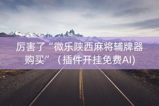 厉害了“微乐陕西麻将辅牌器购买”（插件开挂免费AI)