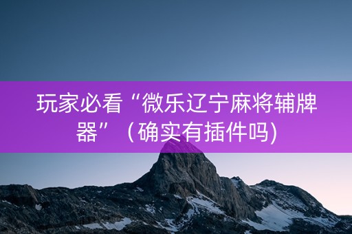玩家必看“微乐辽宁麻将辅牌器”（确实有插件吗)