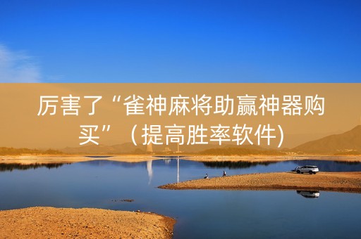 厉害了“雀神麻将助赢神器购买”（提高胜率软件)