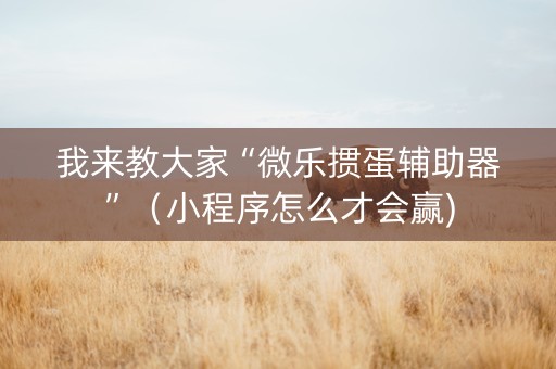 我来教大家“微乐掼蛋辅助器”（小程序怎么才会赢)