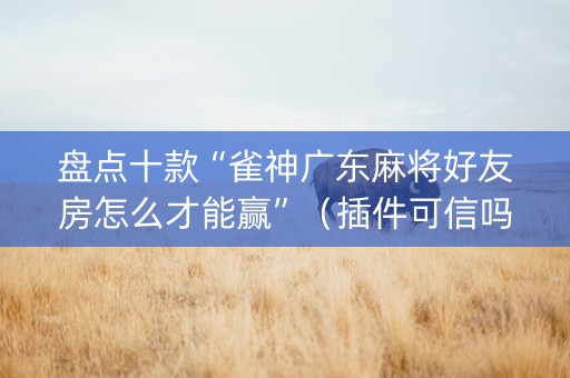 盘点十款“雀神广东麻将好友房怎么才能赢”（插件可信吗)