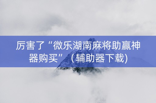 厉害了“微乐湖南麻将助赢神器购买”（辅助器下载)