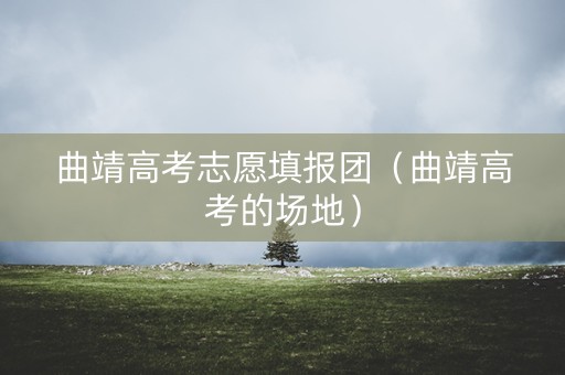 曲靖高考志愿填报团（曲靖高考的场地）