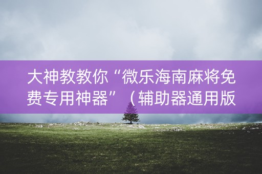 大神教教你“微乐海南麻将免费专用神器”（辅助器通用版)