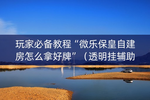 玩家必备教程“微乐保皇自建房怎么拿好牌”（透明挂辅助器)