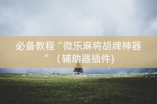 必备教程“微乐麻将胡牌神器”（辅助器插件)