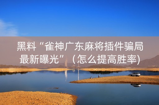 黑料“雀神广东麻将插件骗局最新曝光”（怎么提高胜率)